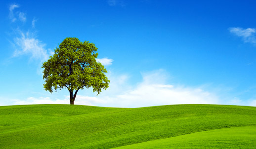natur